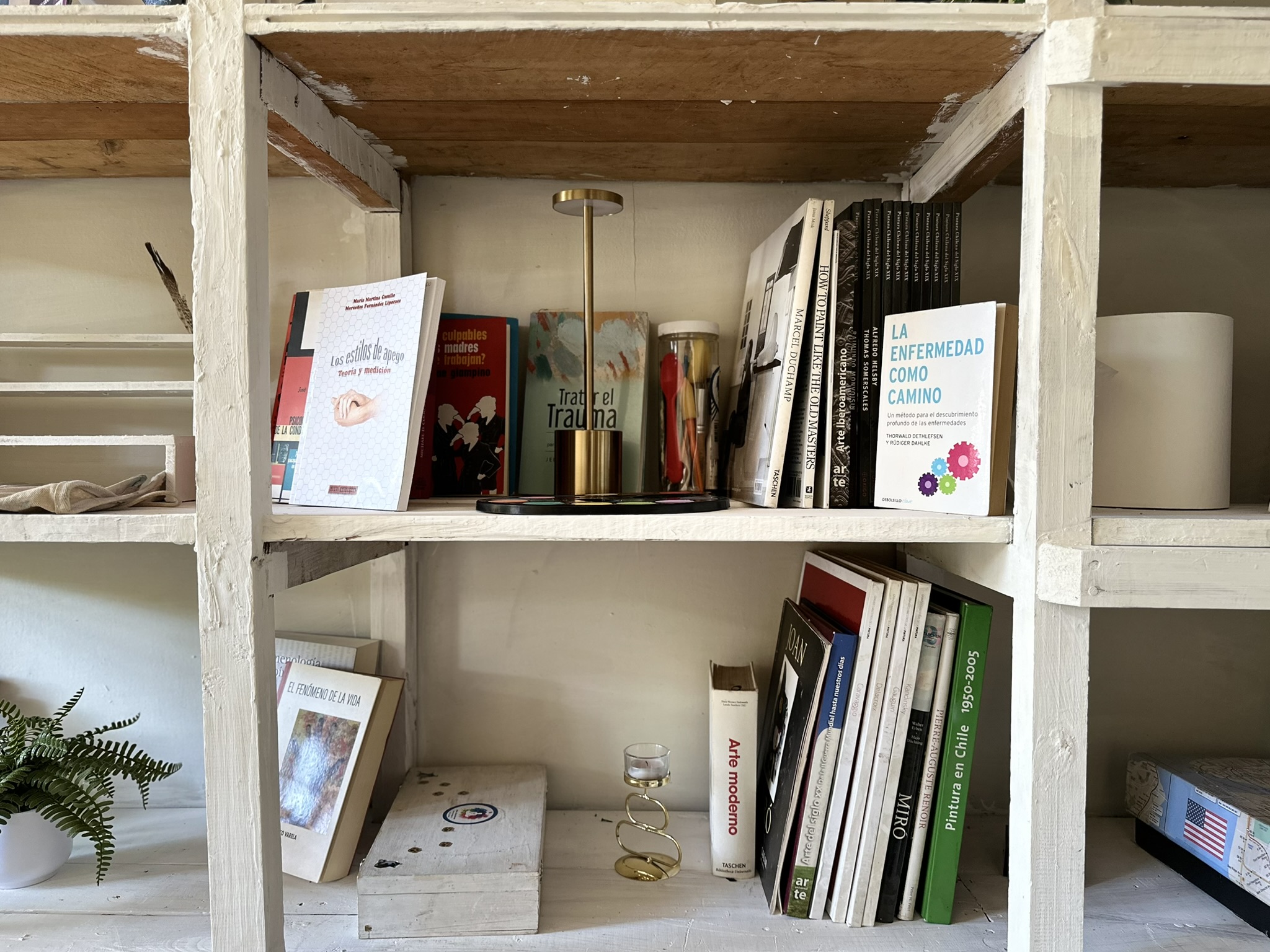 Estantería con libros y material de apoyo en espacio interior de Centro Horizonte